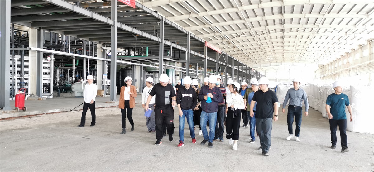 “钱能钱包科技盐湖提锂技术——走进锦泰项目”圆满举行